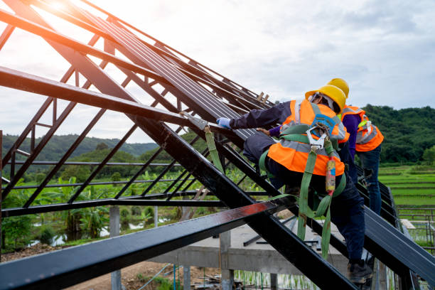 Best Sealant for Roof  in Pearl City, HI